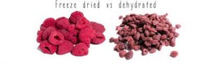 Dehydrated vs. Freeze-Dried Food: