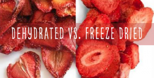 Dehydrated vs. Freeze-Dried Food:
