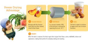 thrive life freeze drying process