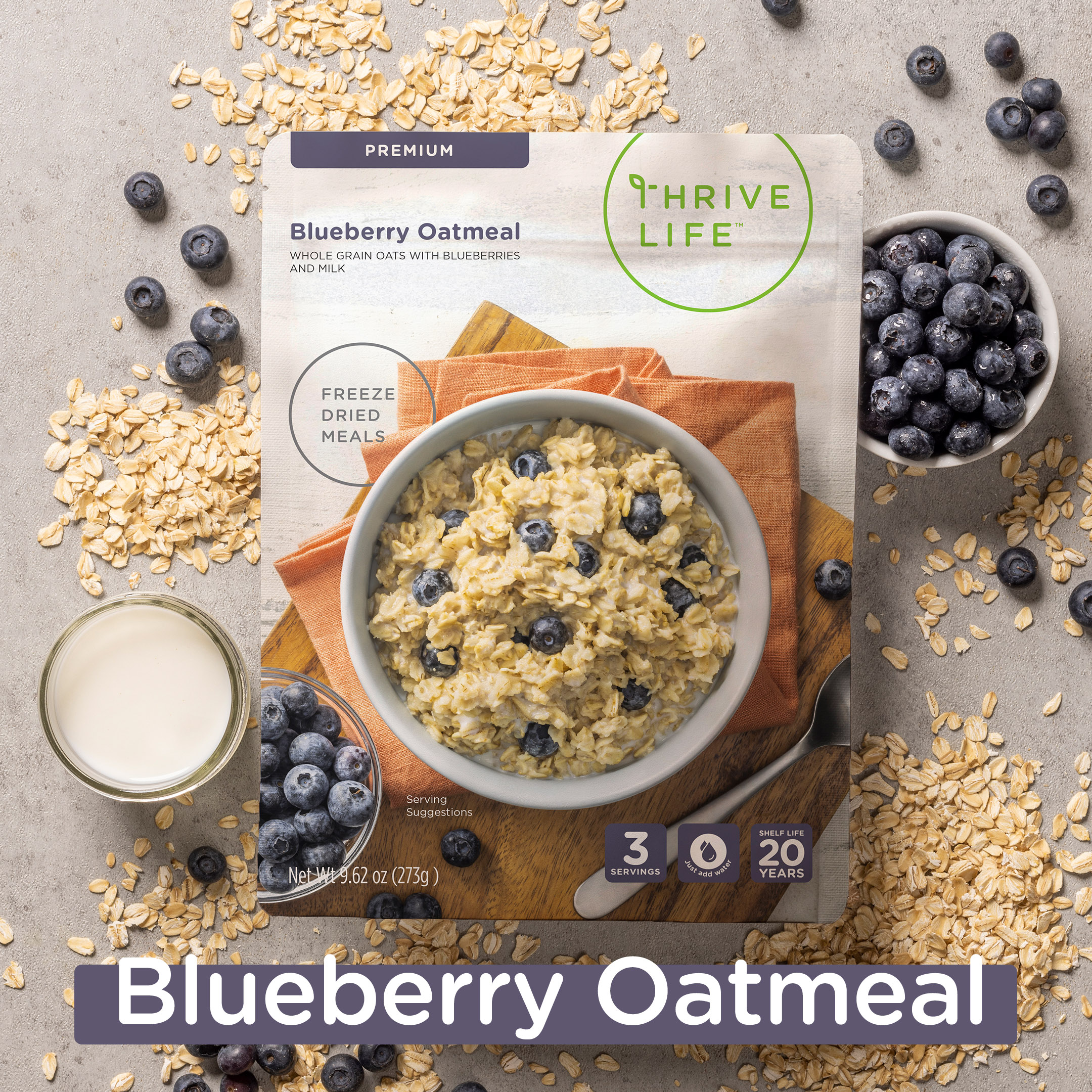 Freeze-dried blueberry oatmeal — single-serving pouch