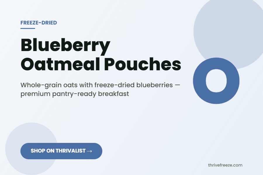 Freeze-dried blueberry oatmeal — single-serving pouch